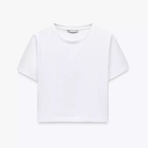 Zara NWOT Cropped Stretch T-shirt